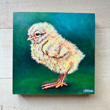 Load image into Gallery viewer, Spring Chick