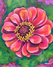 Load image into Gallery viewer, Pink Zinnia