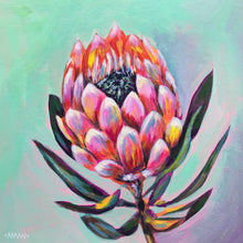 Load image into Gallery viewer, Pretty Protea
