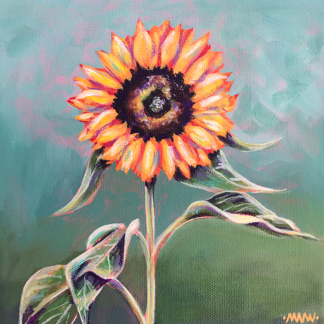 Sunflower, Sky
