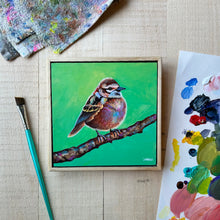 Load image into Gallery viewer, Kind Eyes
