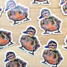 Load image into Gallery viewer, Duck Darling Sticker
