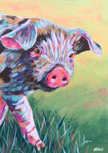 Load image into Gallery viewer, Hello Pig
