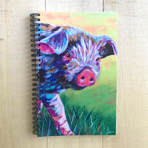 Hello Pig Notebook