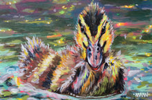 Load image into Gallery viewer, Spring Swim
