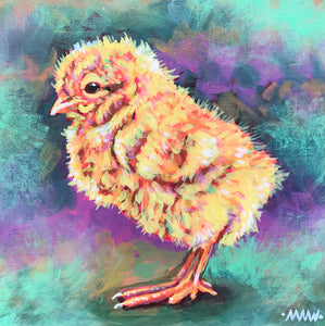 Spring Chick
