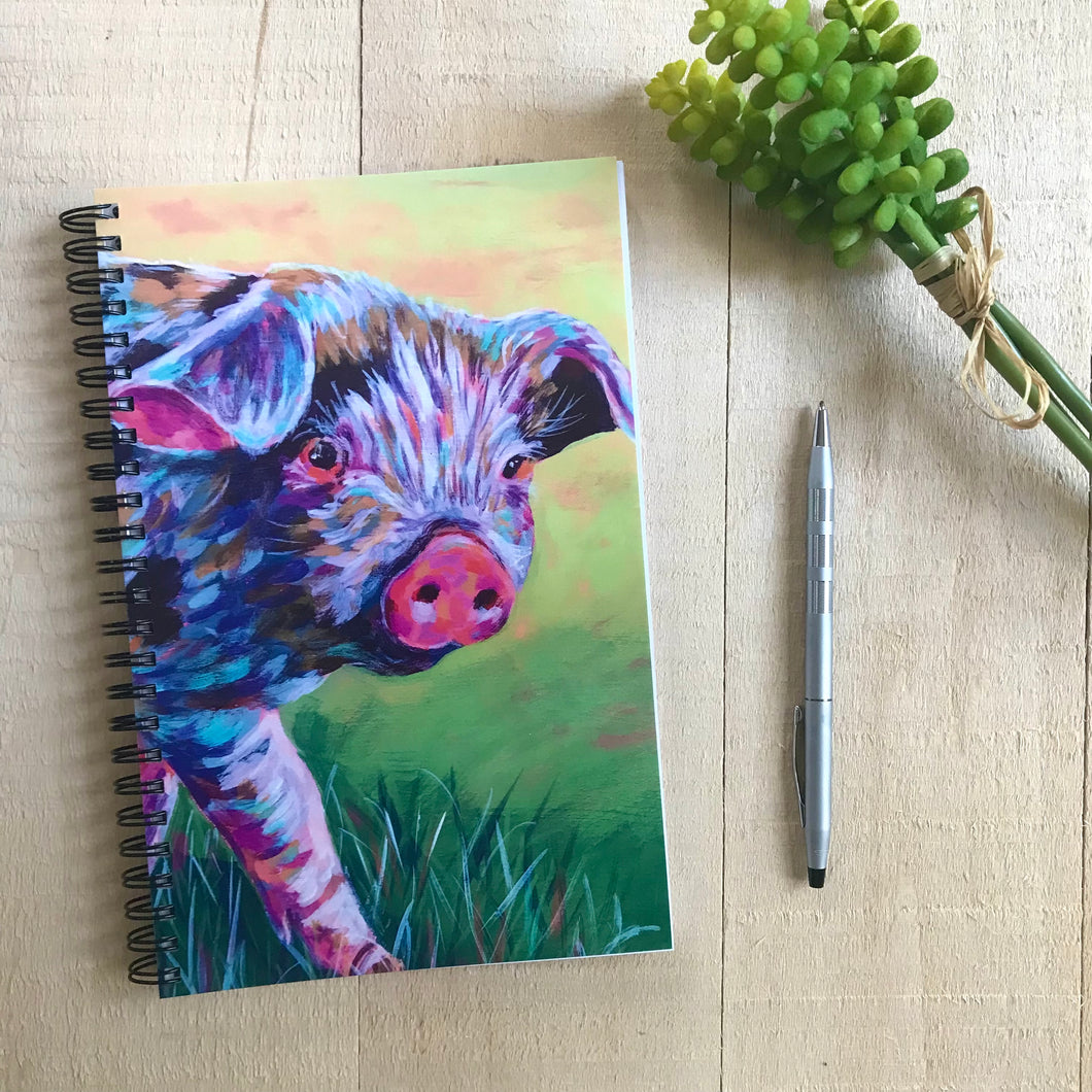 Hello Pig Notebook