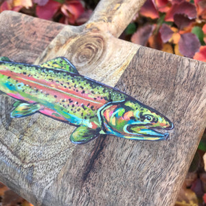 Rainbow Trout