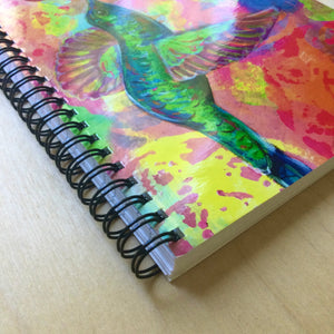 Katie’s Hummingbird Notebook