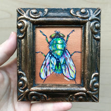 Load image into Gallery viewer, Fancy Fly

